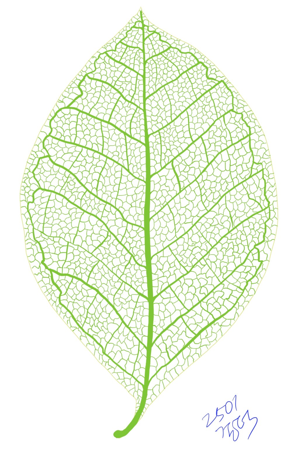 잎1