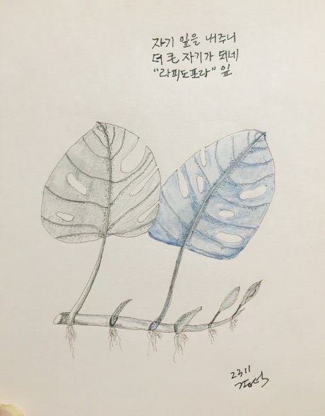 연결된생명3